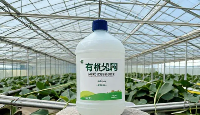温度控制在农业技术推广中的两种做法及其实际取舍